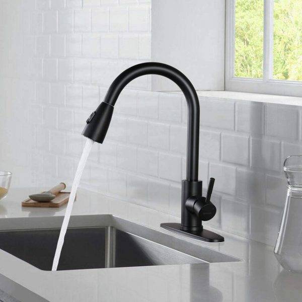 1 sink faucets Single Handle Kitchen Taps Stainless Steel RV မီးဖိုချောင်သုံး faucet လုပ်ငန်းသုံး စက်ရုပ် 2
