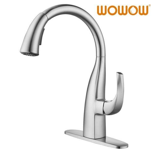 WOWOW Gooseneck Kitchen Faucet With Pull Out Sprayer