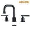 2320300B WOWOW Black Bathroom Faucet With Separate Handle Swivel Spout 2
