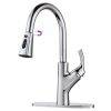 WOWOW Kitchen Faucets Single Handle With Pull Down Sprayer-