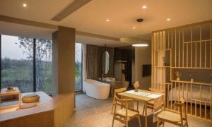 Themed B&B In The Bamboo Forest, Every Window Is In The Frame View | Parallect Design Themed B&B In The Bamboo Forest, Every Window Is In The Frame View | Parallect Design