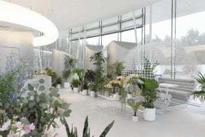 Minimalist Naturalism, Create a Four Season Flower House in a Small Town | SWS Group Minimalist Naturalism, Create a Four Season Flower House in a Small Town | SWS Group