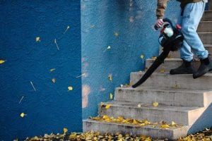 Marina Times – The fix is in — or out Marina Times – The fix is in — or out