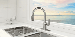 Faucet filter purchase error