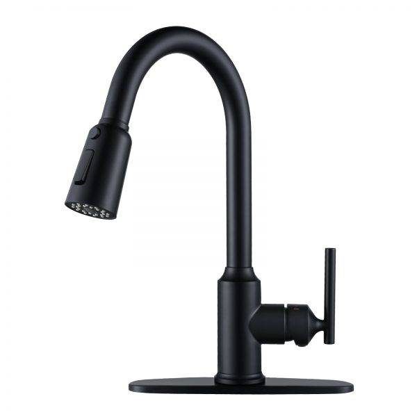 WOWOW Kitchen Faucets with Pull Down Sprayer