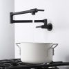 kitchen matte black pot filler wall mount 6