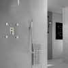 brushed nickel rain shower system