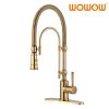 wowow gold solid brass pre rinse faucet