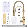 wowow gold solid brass pre rinse faucet
