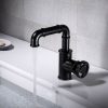 matte black industrial pipe bathroom faucet