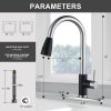 wowow black and brushed nickel kitchen faucet