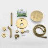 wowow brushed gold rain shower system with handheld spray