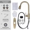 wowow gold kitchen faucet with pull down sprayer