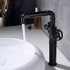 wowow ruth industrial pipe faucet matte black