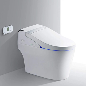 smart toilet