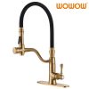 wowow brushed gold high arc single handle kitchen faucet with sprayer