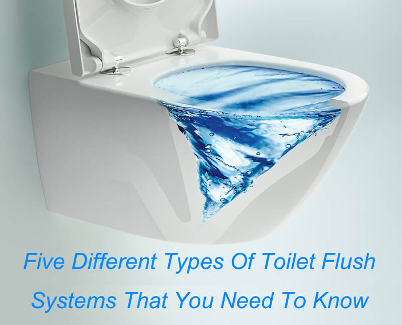 different types of toilet flush systems