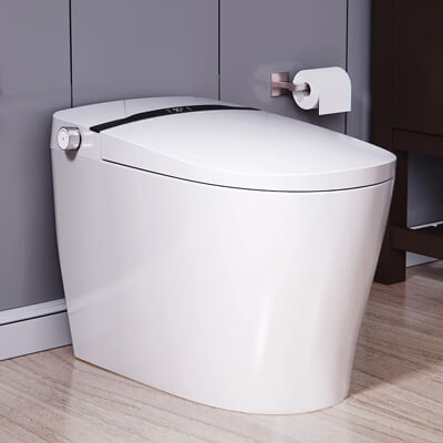 what to consider when buying a new toilet 2