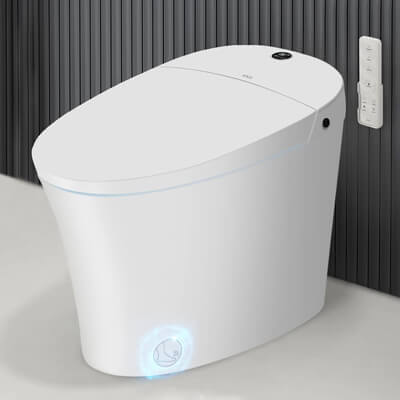 what to consider when buying a new toilet 3