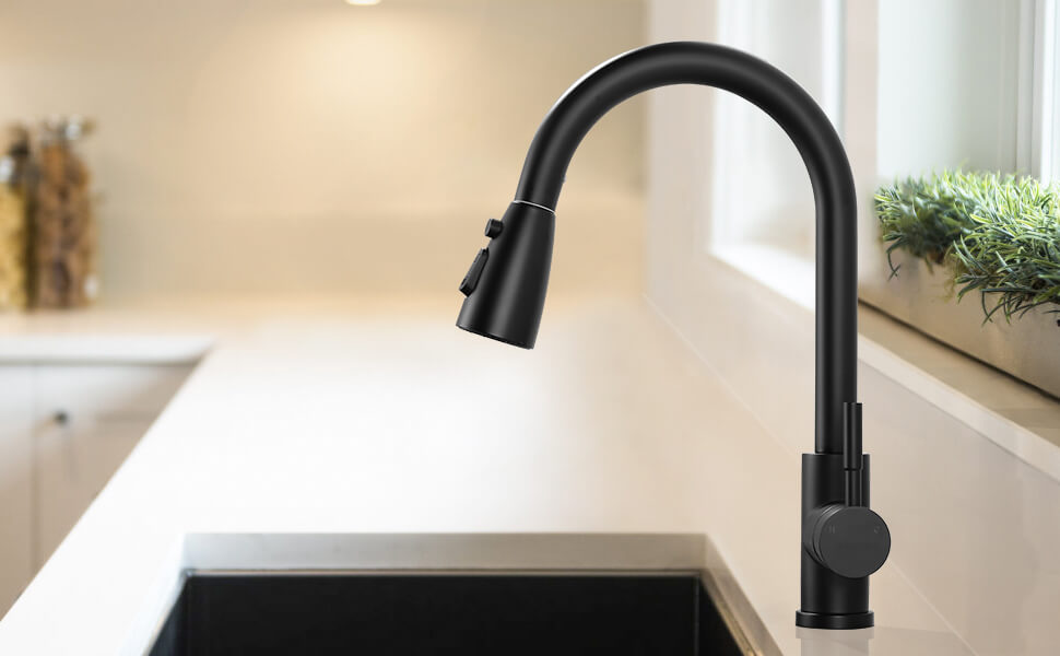 3 Function Kitchen Faucet Head