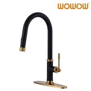 Kitchen Faucet